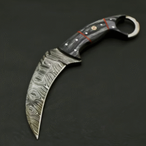 AE#1 Custom Hand Forged Damascus Steel Camping Hunting Full Tang Karambit Knife